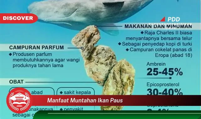 manfaat muntahan ikan paus