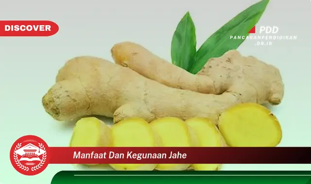 manfaat dan kegunaan jahe