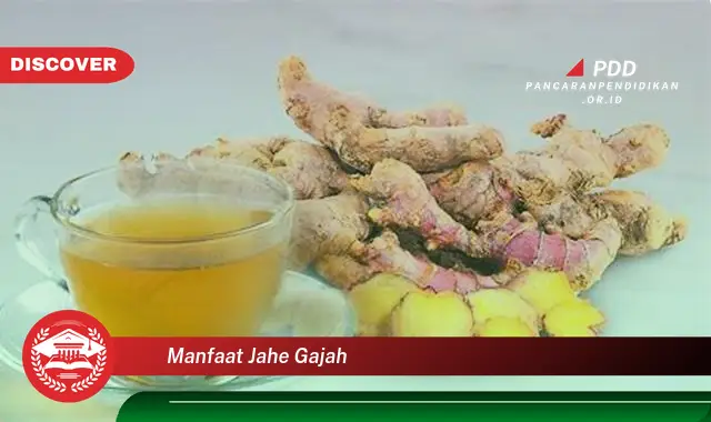 manfaat jahe gajah