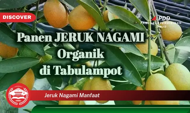 jeruk nagami manfaat