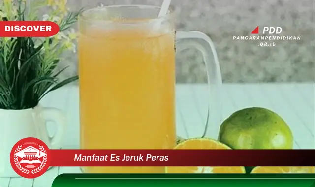 manfaat es jeruk peras