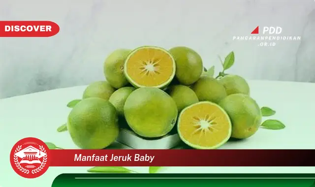 Kamu Wajib Tahu, Ini dia 30 Manfaat Jeruk Baby yang Wajib Diintip