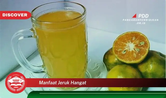 manfaat jeruk hangat