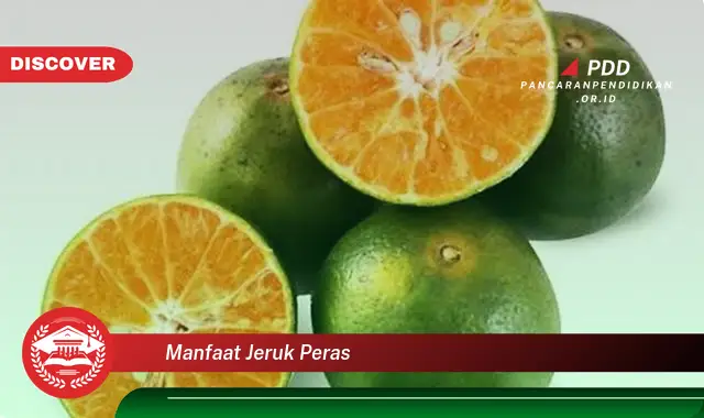 manfaat jeruk peras