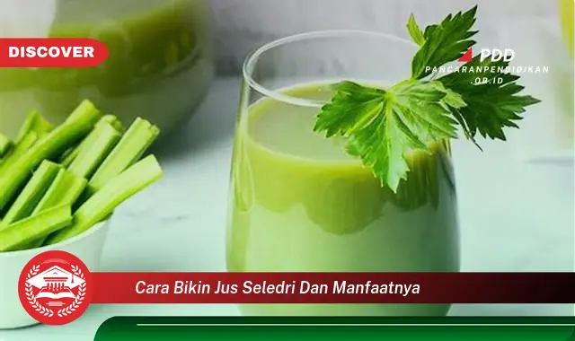 cara bikin jus seledri dan manfaatnya