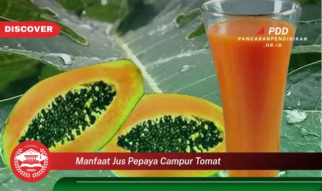 manfaat jus pepaya campur tomat