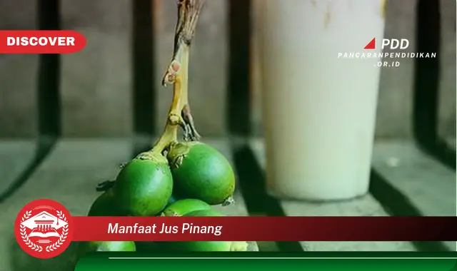 manfaat jus pinang