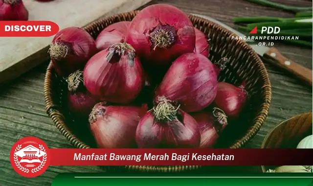 manfaat bawang merah bagi kesehatan