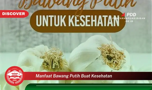 manfaat bawang putih buat kesehatan