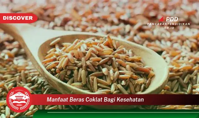 manfaat beras coklat bagi kesehatan