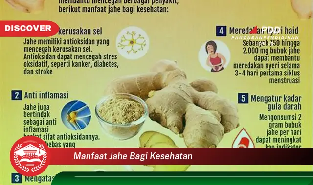 manfaat jahe bagi kesehatan
