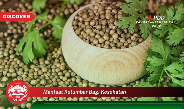 manfaat ketumbar bagi kesehatan