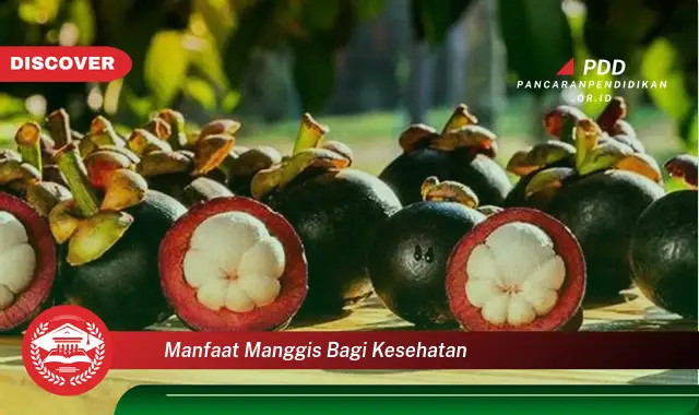 manfaat manggis bagi kesehatan