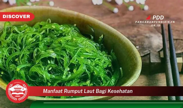 manfaat rumput laut bagi kesehatan