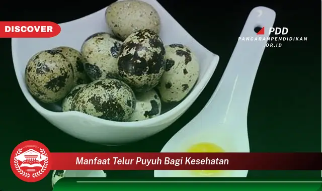 manfaat telur puyuh bagi kesehatan