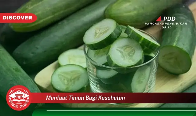 manfaat timun bagi kesehatan