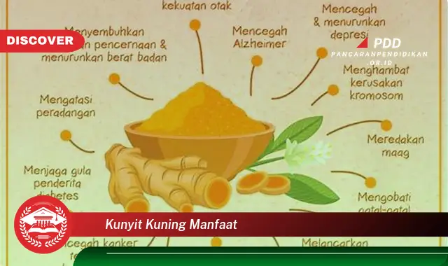 kunyit kuning manfaat