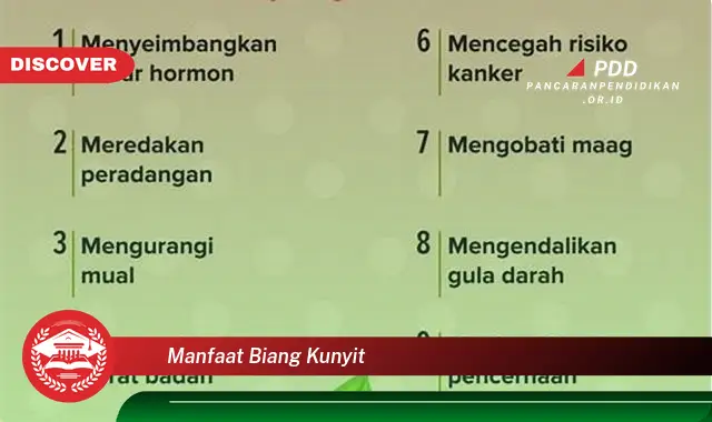 manfaat biang kunyit