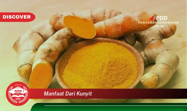 manfaat dari kunyit