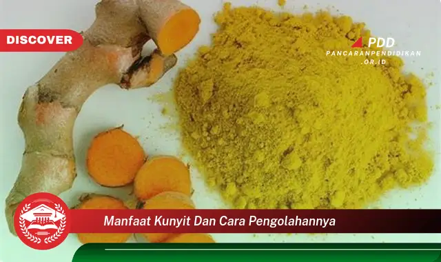 manfaat kunyit dan cara pengolahannya