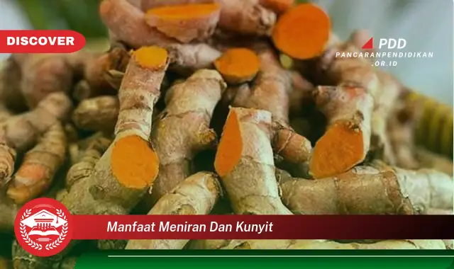 manfaat meniran dan kunyit