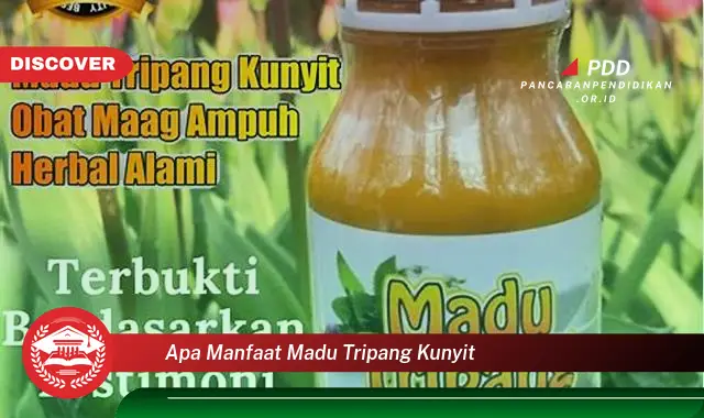 apa manfaat madu tripang kunyit