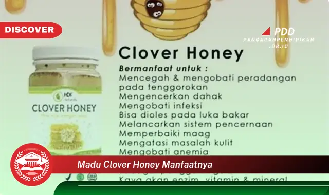 madu clover honey manfaatnya