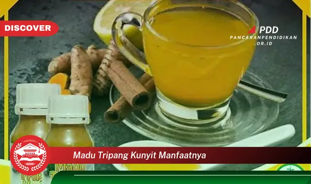 madu tripang kunyit manfaatnya