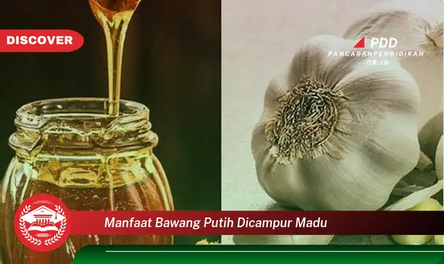 manfaat bawang putih dicampur madu