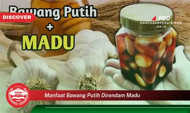 manfaat bawang putih direndam madu