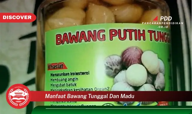 manfaat bawang tunggal dan madu