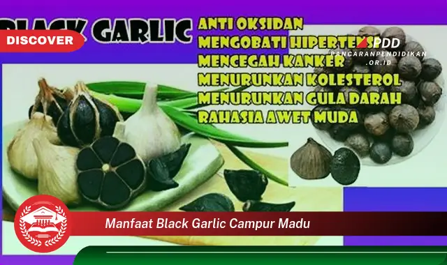 manfaat black garlic campur madu