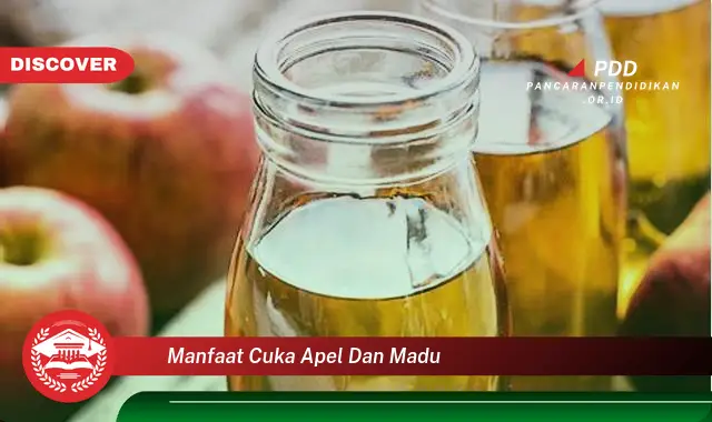 manfaat cuka apel dan madu