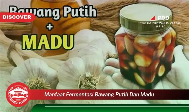 manfaat fermentasi bawang putih dan madu