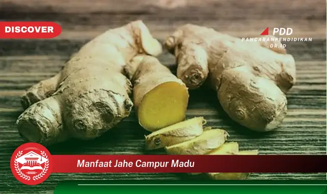 manfaat jahe campur madu