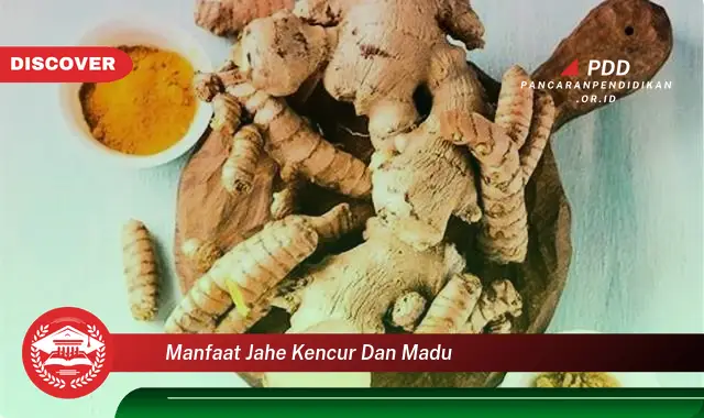 manfaat jahe kencur dan madu