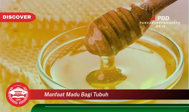 manfaat madu bagi tubuh
