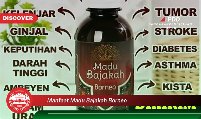 manfaat madu bajakah borneo