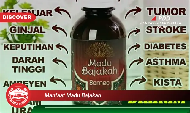 manfaat madu bajakah