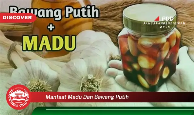 manfaat madu dan bawang putih