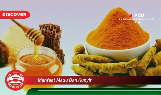 manfaat madu dan kunyit