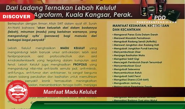 manfaat madu kelulut