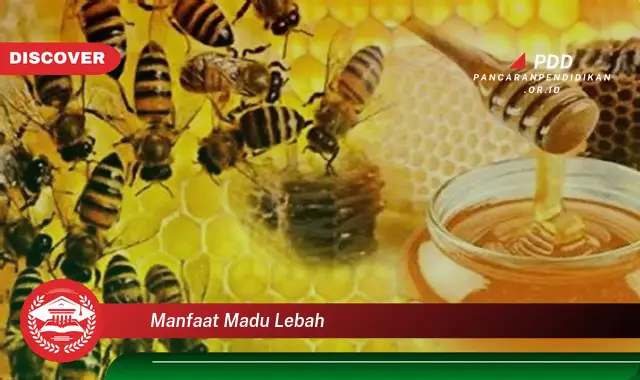 manfaat madu lebah