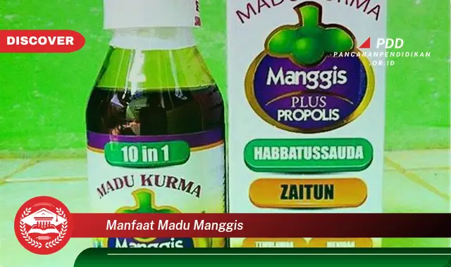 manfaat madu manggis