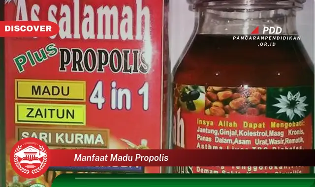 manfaat madu propolis