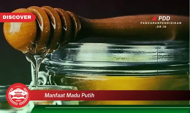 manfaat madu putih