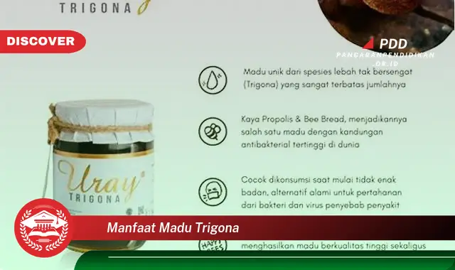 manfaat madu trigona