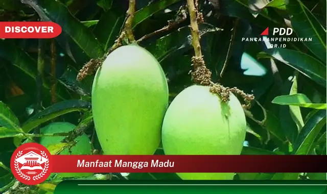 manfaat mangga madu