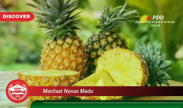 manfaat nanas madu