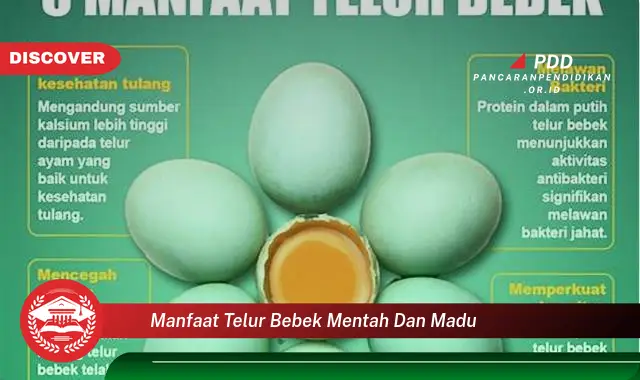 manfaat telur bebek mentah dan madu